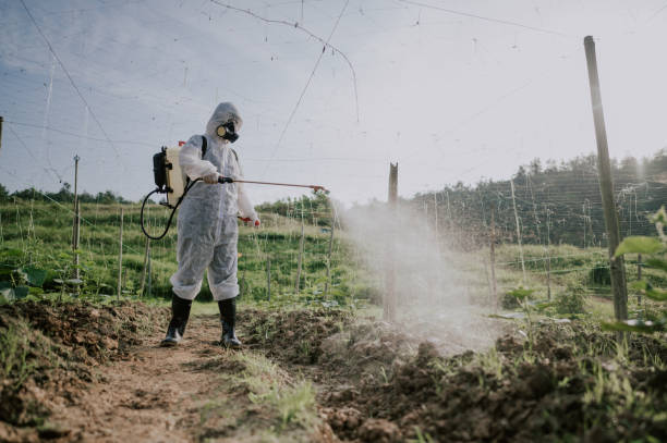 Best Local Pest Control Services  in Stonebridge, NJ