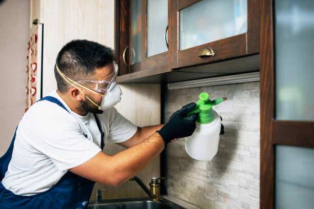 Best Flea Control Services  in Stonebridge, NJ
