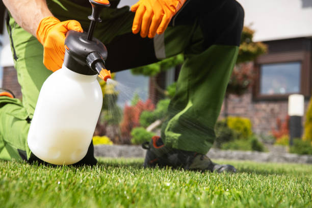 Best Spider Control Near Me  in Stonebridge, NJ