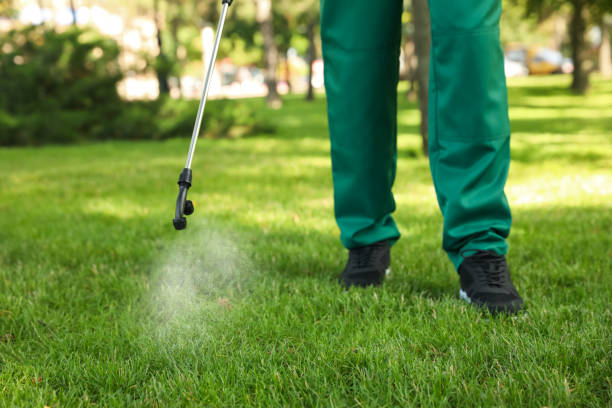 Best Bed Bug Extermination  in Stonebridge, NJ