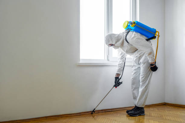 Best Mosquito Control Services  in Stonebridge, NJ