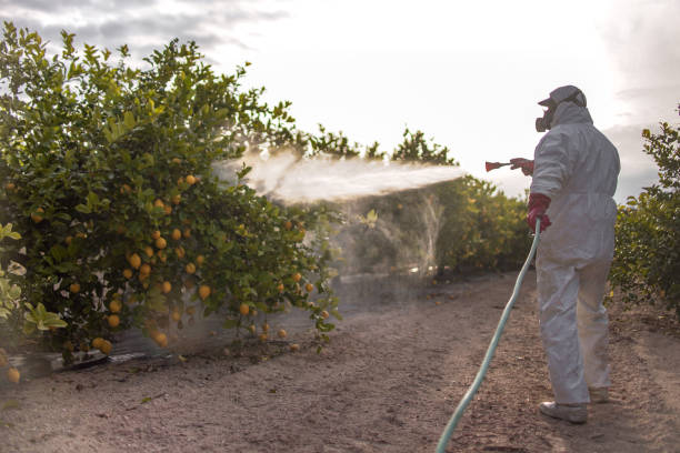 Best Exterminator Services  in Stonebridge, NJ