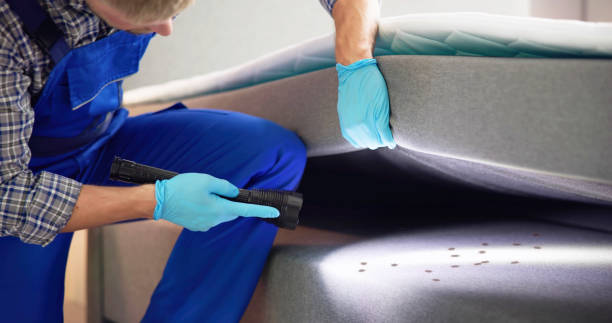 Best Insect Control  in Stonebridge, NJ