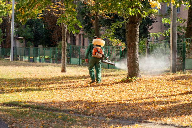 Best Local Pest Control Services  in Stonebridge, NJ