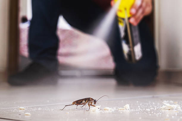 Best Pest Removal Services  in Stonebridge, NJ