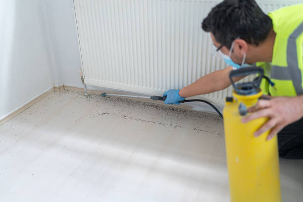 Trusted Stonebridge, NJ Pest Control Experts